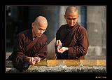 IMG_0253r-brd