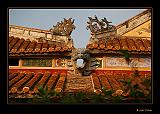 IMG_0261r-brd