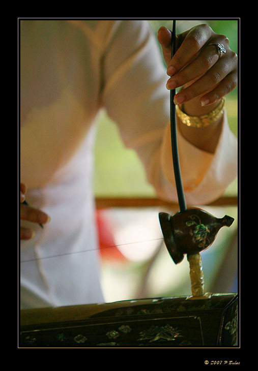 IMG_0211r-brd.jpg