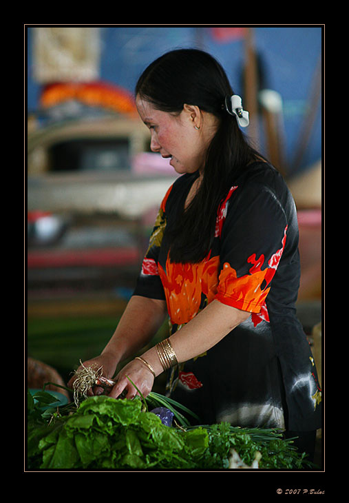 IMG_0307r-brd.jpg