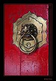 IMG_0066r-brd