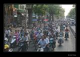 IMG_0084r-brd