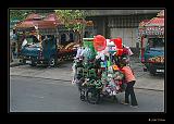 IMG_0086r-brd