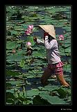 IMG_0110r-brd