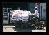 IMG_0123r-brd