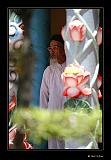 IMG_0140r-brd