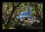 IMG_0190r-brd