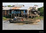 IMG_0247r-brd