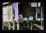IMG_0259r-brd