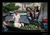 IMG_0266r-brd