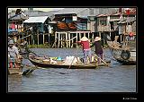 IMG_0270r-brd