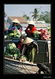 IMG_0273r-brd