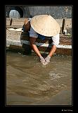 IMG_0281r-brd