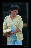 IMG_0282r-brd