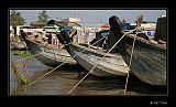 IMG_0285r-brd