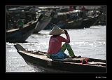 IMG_0298r-brd