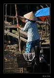 IMG_0305r-brd