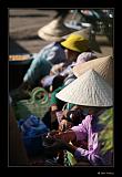 IMG_0316-brd