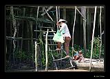 IMG_0325r-brd