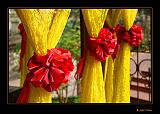 IMG_0376r-brd-1