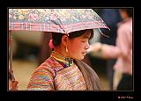 IMG_0471r-brd