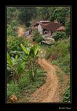 IMG_0480r-brd
