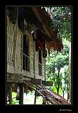 IMG_0490r-brd